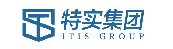 ITIS Group